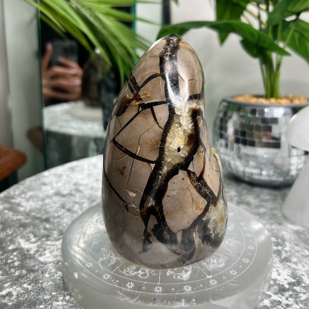 Septarian W Calcite Freeform- SF08 - Picture 3 of 4